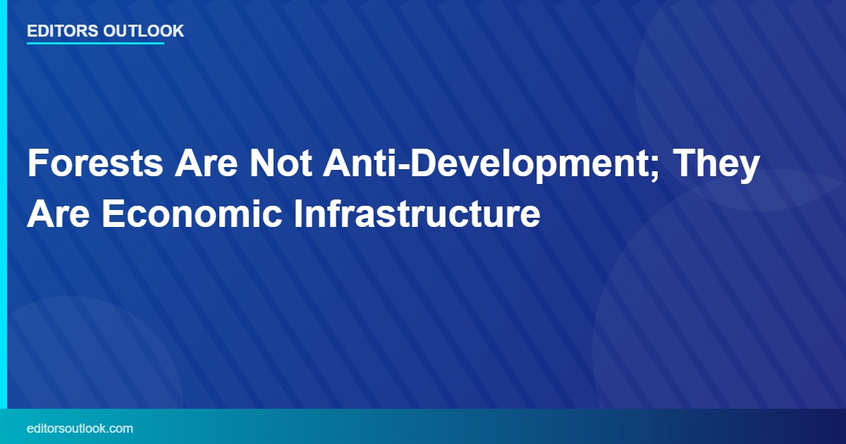 Forests Are Not Anti-Development; They Are Economic Infrastructure