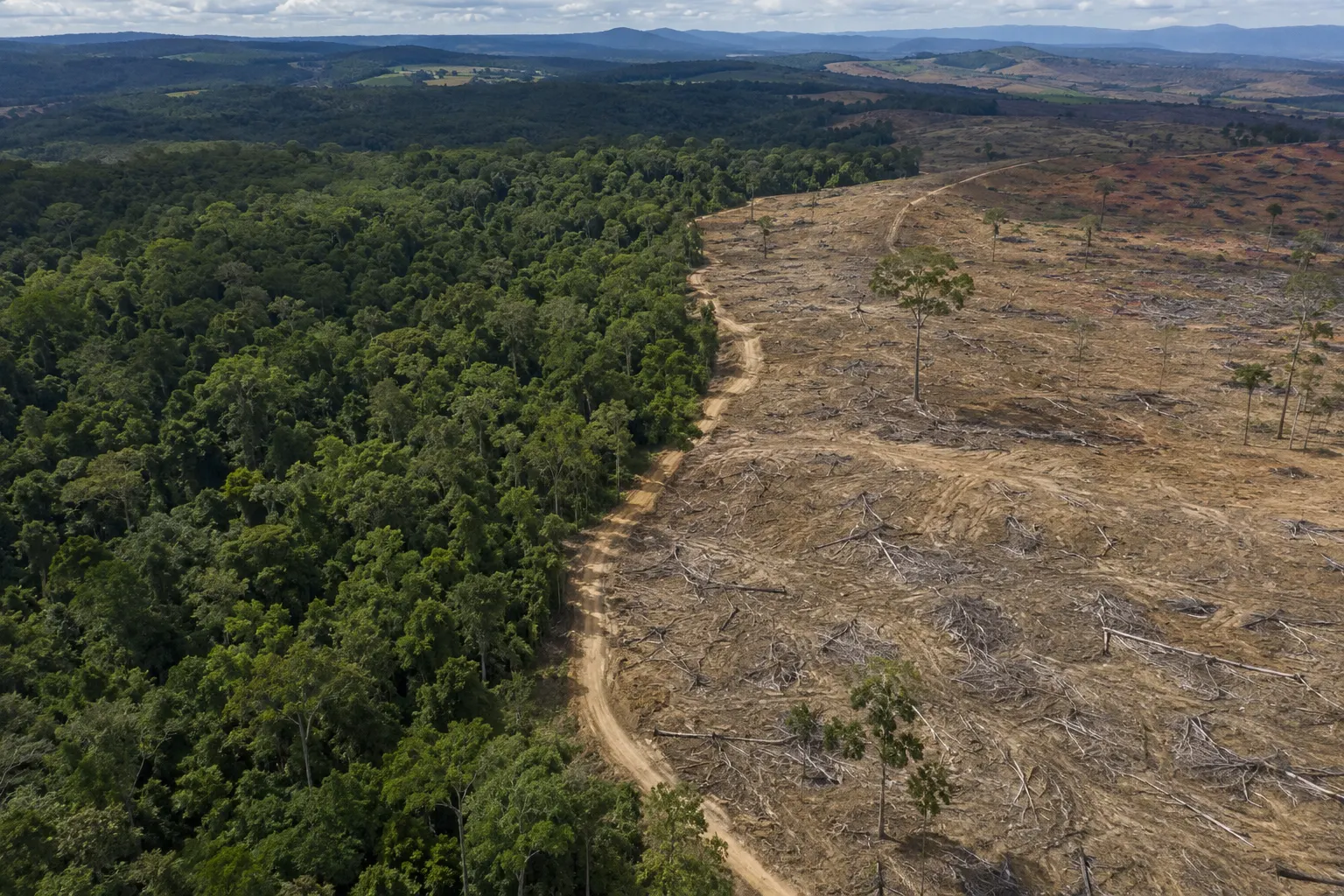 Habitat Destruction: How Ecosystems Are Lost, Degraded and Fragmented