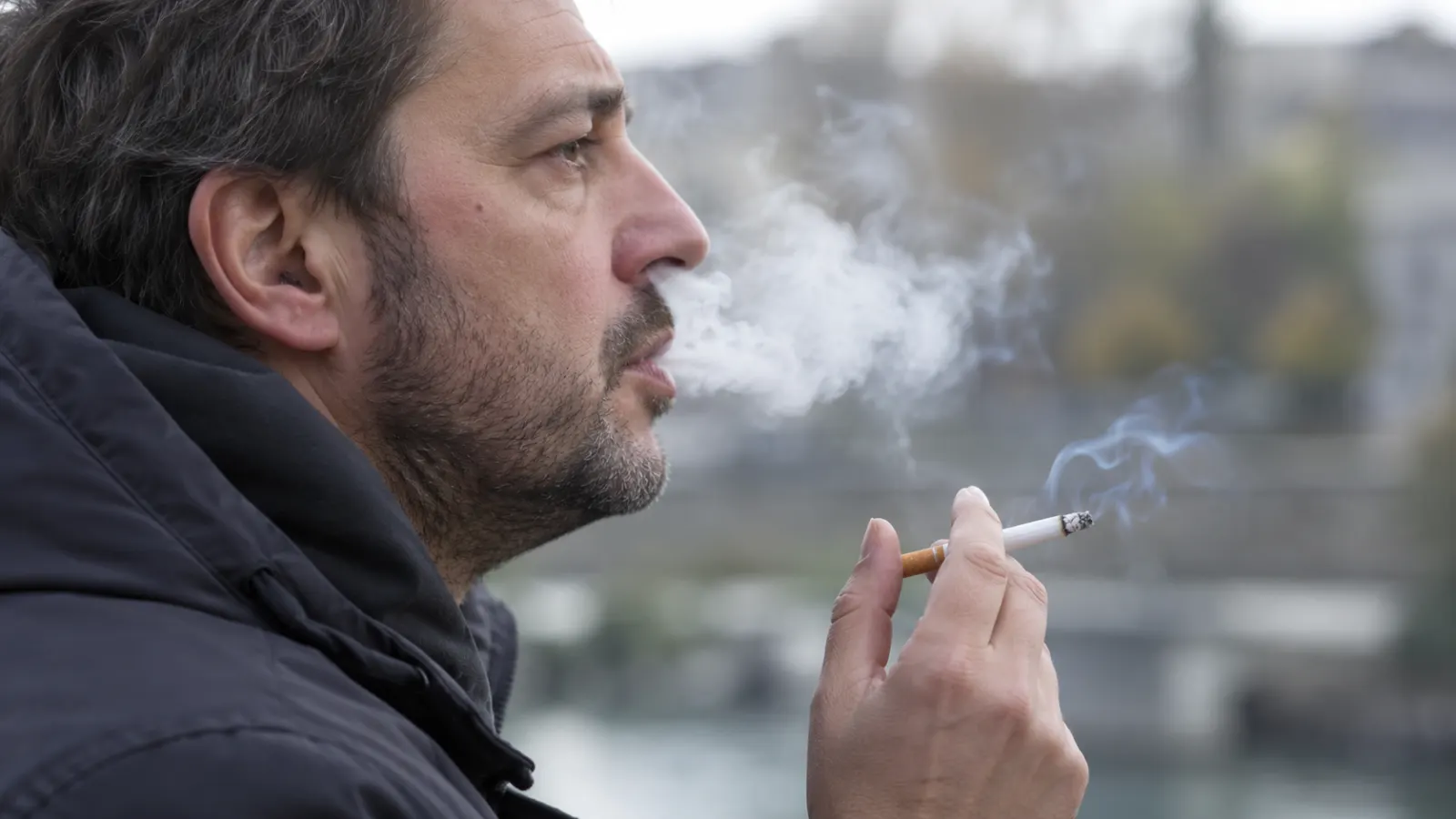 How Smoking Damages the Body: Lungs, Heart, Cancer and More