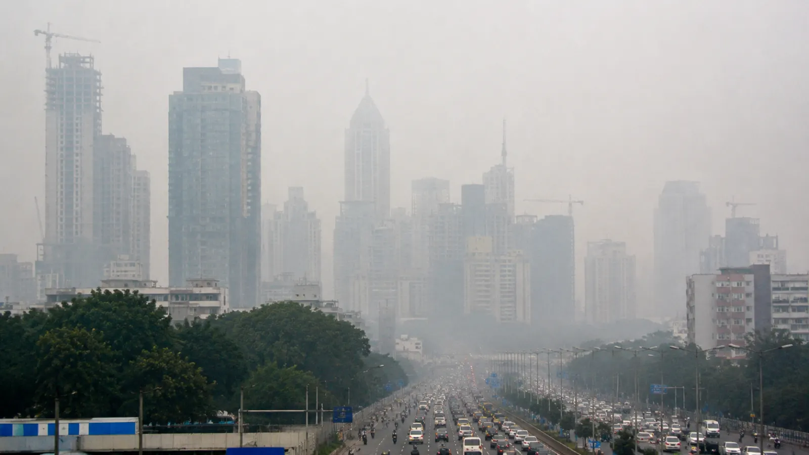 Particulate Matter (PM2.5 and PM10) Explained: Sources, Health Effects and Safe Levels